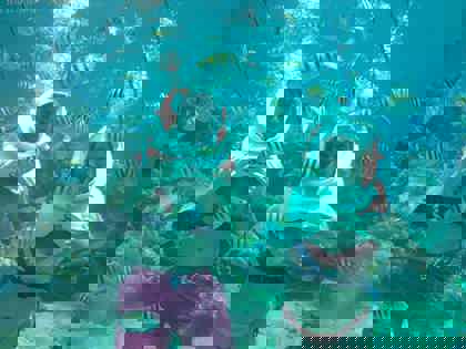 Sea-Trek-Helmet-Diving-Curacao-1-2048x1536-1